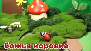 Называем Этих Насекомых и Лепим из Пластилина!—для Детей // Let's Name These Insects!–for Kids