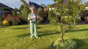 ОБЯЗАТЕЛЬНО СДЕЛАЙТЕ ЭТО В САДУ В СЕНТЯБРЕ 2024!