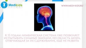 Развитие малыша: как развивается головной мозг человека с рождения до 21 года