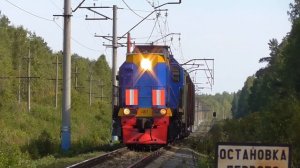 ТЭМ18ДМ-497 с грузовым составом