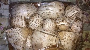 ‼️ГРИБЫ ЗОНТИКИ?❗ХРАНЕНИЕ И ЗАМОРОЗКА ГРИБОВ НА ЗИМУ☝??‼️