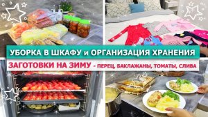 ? МОТИВАЦИЯ на УБОРКУ В ШКАФУ, ОРГАНИЗАЦИЮ ХРАНЕНИЯ ❄?? ЗАГОТОВКИ на ЗИМУ ? ПОКУПКА ОДЕЖДЫ