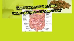 Болит живот и понос, температура - что делать?