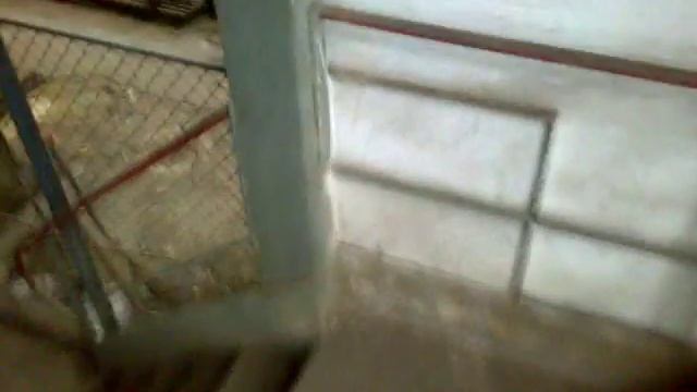 ДХМЗ ЭМО-250 смотреть онлайн