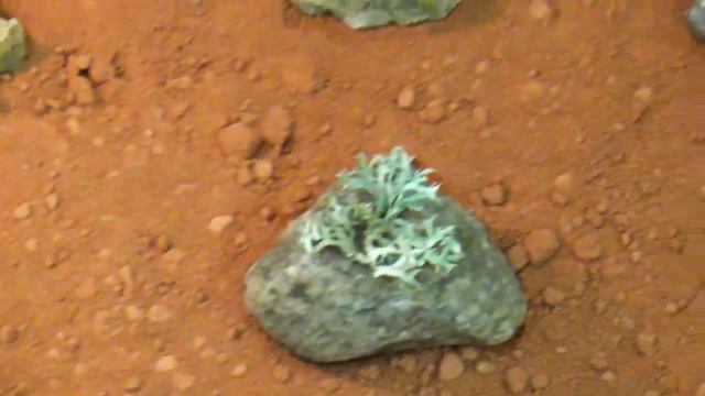 Jahrresausstellung HfbK Hamburg, Kurzimpressionen # Teil 1 # 7.2.2020 смотреть онлайн