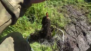 Рыбалка на спиннинг с берега.Ловля щуки на спиннинг.Танцую на рыбалке! Боба Боба!