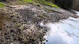 Рыбалка на щуку и тайменя по реке уссури на моторе.#щука#таймень#рыбалка