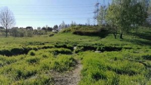 Река Кикенка/Шунгеровский лесопарк. 22.05.2022.