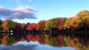 УРАЛОЧКА В ГОСТЯХ У НАДЮХИ. ОЛЬГА УРАЛОЧКА LIVE. САДОВЫЙ БЛОГ.