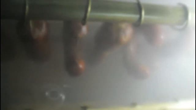 Холодное копчение домашней колбасы электростатикой.