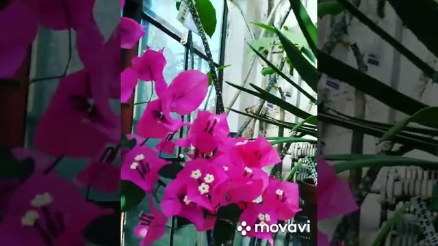Моментальное открытие денежного потока. Медитация на деньги. Спокойная медитация. Денежная практика