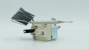 Термостат однофазный защитный с ручным возвратом для MACH (500064000)