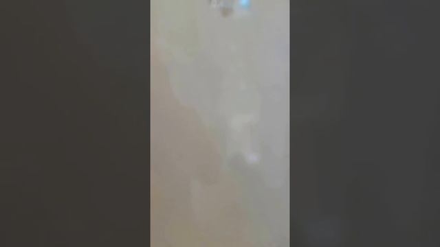 Обзор холодильника Whirpool BSNf 8152 смотреть онлайн