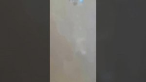 Обзор холодильника Whirpool BSNf 8152