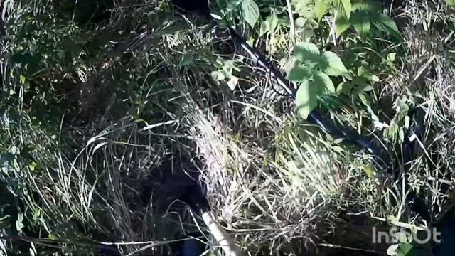 БОЛВАНКИ ПО 30 кг. НОВОЕ МЕСТО. Металл смотреть онлайн