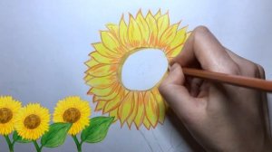 Как нарисовать подсолнух / How to draw a sunflower / Рисуем с детьми