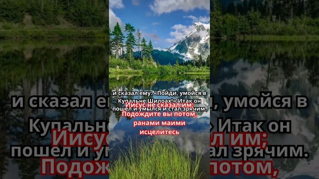 Я здоровый#shorts