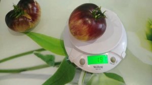 Этот томат с маслянистой мякотью можно есть вместо десерта кусочек за кусочком.