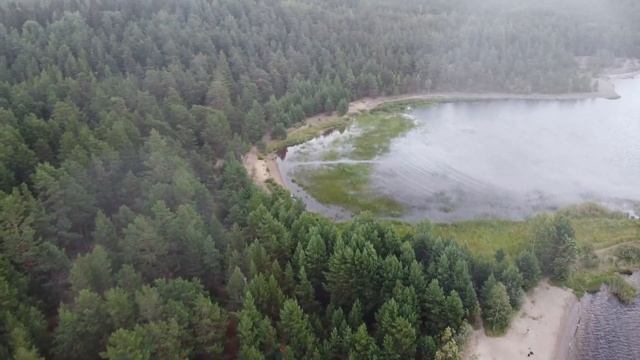 Карелия август 2021 (Ладожское озеро: остров Койонсаари, залив Кирьявалахти).