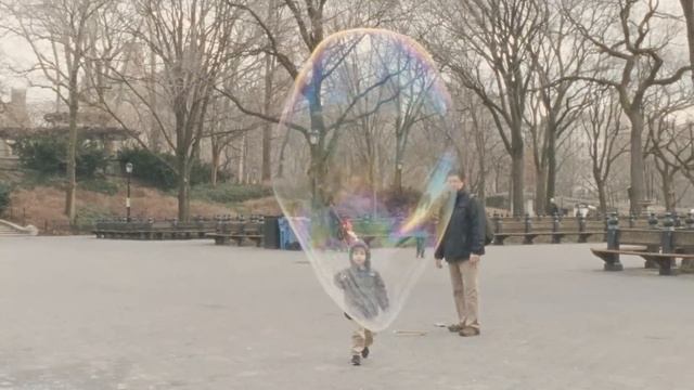 Ducktails - Letter Of Intent (Official Video) смотреть онлайн