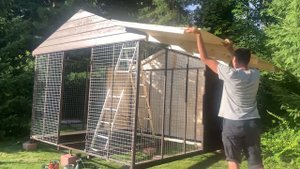 Домик для кота, уличный вольер для кота породы Мейн-кун