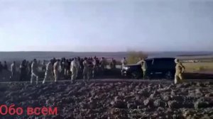 Бунт краповых беретов