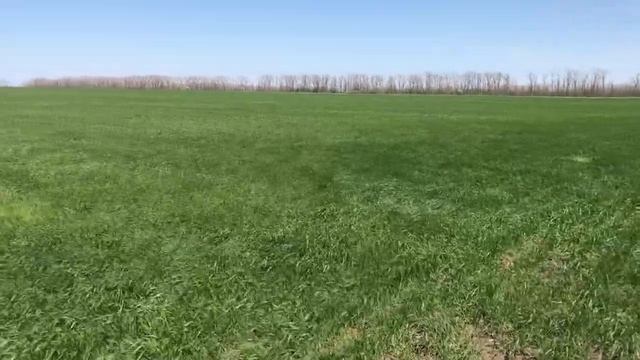 волны на траве смотреть онлайн