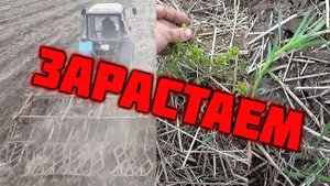 МТЗ 82 с культиватором КПС4. Первая культивация 2021.
