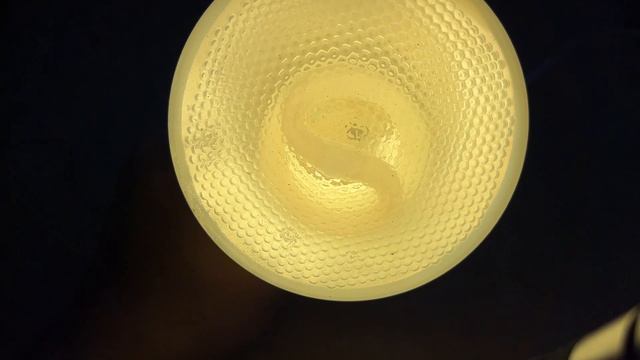 GE 26 Watt, 75 Watt Equivalent R30 CFL Flood Reflector Light Bulb смотреть онлайн