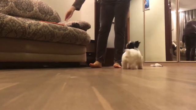 Девочка Пэрис. Возраст 3 месяца. смотреть онлайн