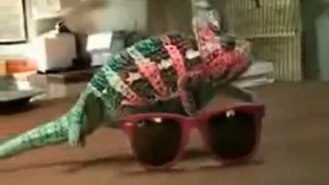 Чудеса маскировки смотреть онлайн