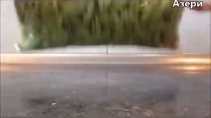 Стручковая фасоль на зиму