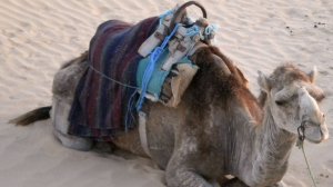 ТУНИС / TUNISIA 2