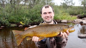 Озёрная кумжа и волшебный ручей. Рыбалка на Кольском Часть 2