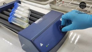 Группа биотехнологических лабораторий BIO38 НИЧ ИГУ