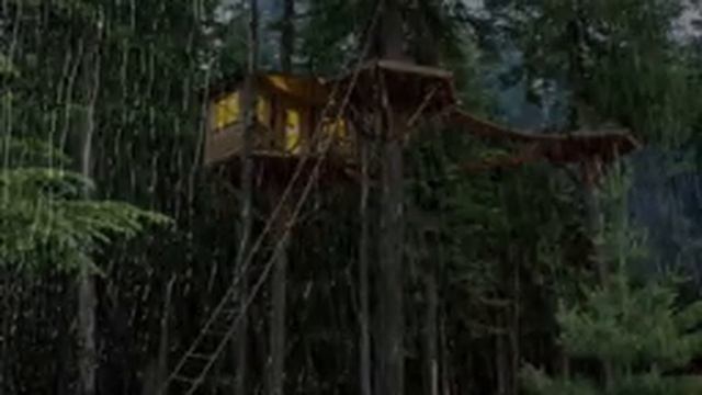 Звуки дождя и грома для сна - 99% мгновенно засыпают с Шум Дождя и грома по Крыше в туманном лесу смотреть онлайн