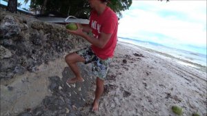 ПОЛЕЗ НА ПАЛЬМУ ЗА КОКОСОМ+Новые знакомства:D Филиппины/Climb to palm for COCONUT, Panglao