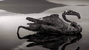 10 Самых Опасных Водоемов на Земле