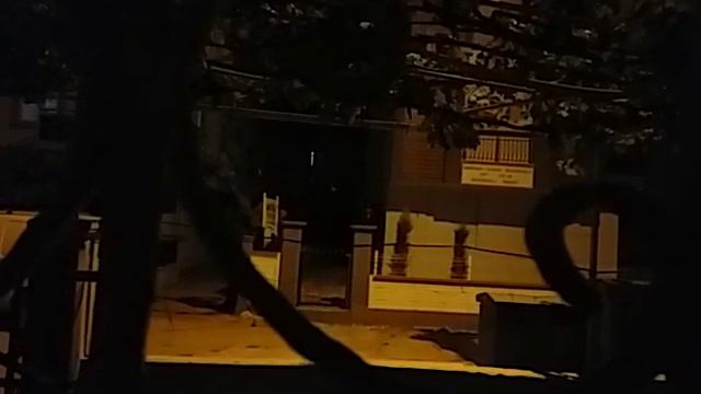 ВСЕМ СПОКОЙНОЙ НОЧИ И ДОБРЫХ СНОВ И БОДРОГО ПРОБУЖДЕНИЯ! смотреть онлайн