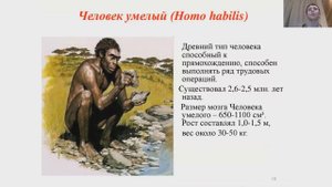 Эволюция человека. Человек произошел от обезьяны?