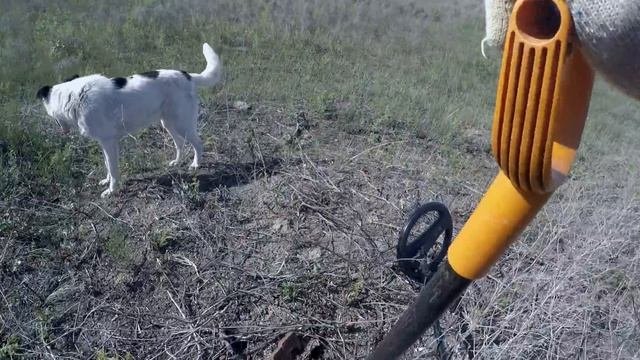 Коп Металлолома на Полях. Брожу по развалинам, накопал метала.