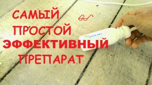 Профилактика Пероеда Пухоеда у попугаев !