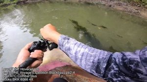 Insane topwater take! Papuan Black Bass with the BONE Voyage Expedition and BONE Hoverjet 100F!