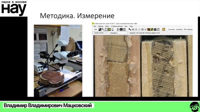 «Дендрохронология, или как датируют деревянные артефакты». Спикер: Владимир Владимирович Мацковский