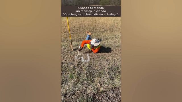 Idiotas Totales en el Trabajo Captados por las Cámaras смотреть онлайн