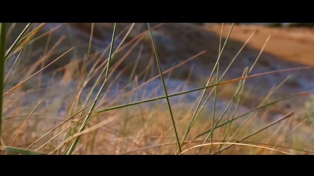 Samsung nx3000 - la spiaggia - смотреть онлайн