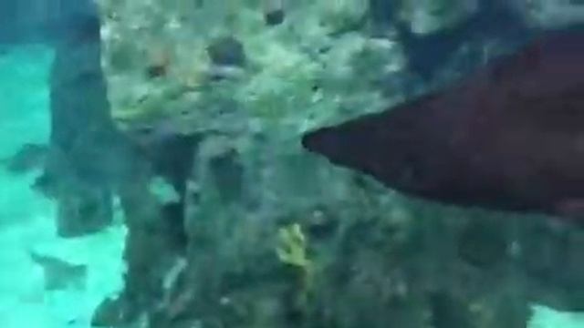 Floria Aqua park Turkey смотреть онлайн