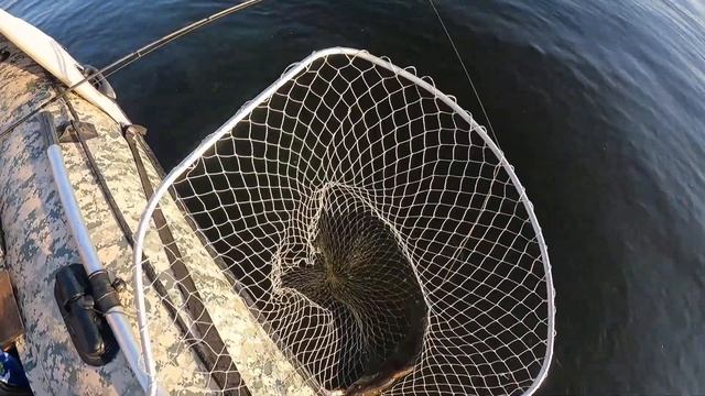 ВЕЧЕРНЯЯ РЫБАЛКА НА СУДАКА. ЛОВЛЯ ЩУКИ В КОРЯЖНИКЕ. смотреть онлайн