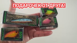 Подарок от друга! Кренки от серебряного ручья разловил на соревнование! SSV RIVER PRO