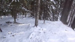 Охота на.Медведя. охоту. Тайга.